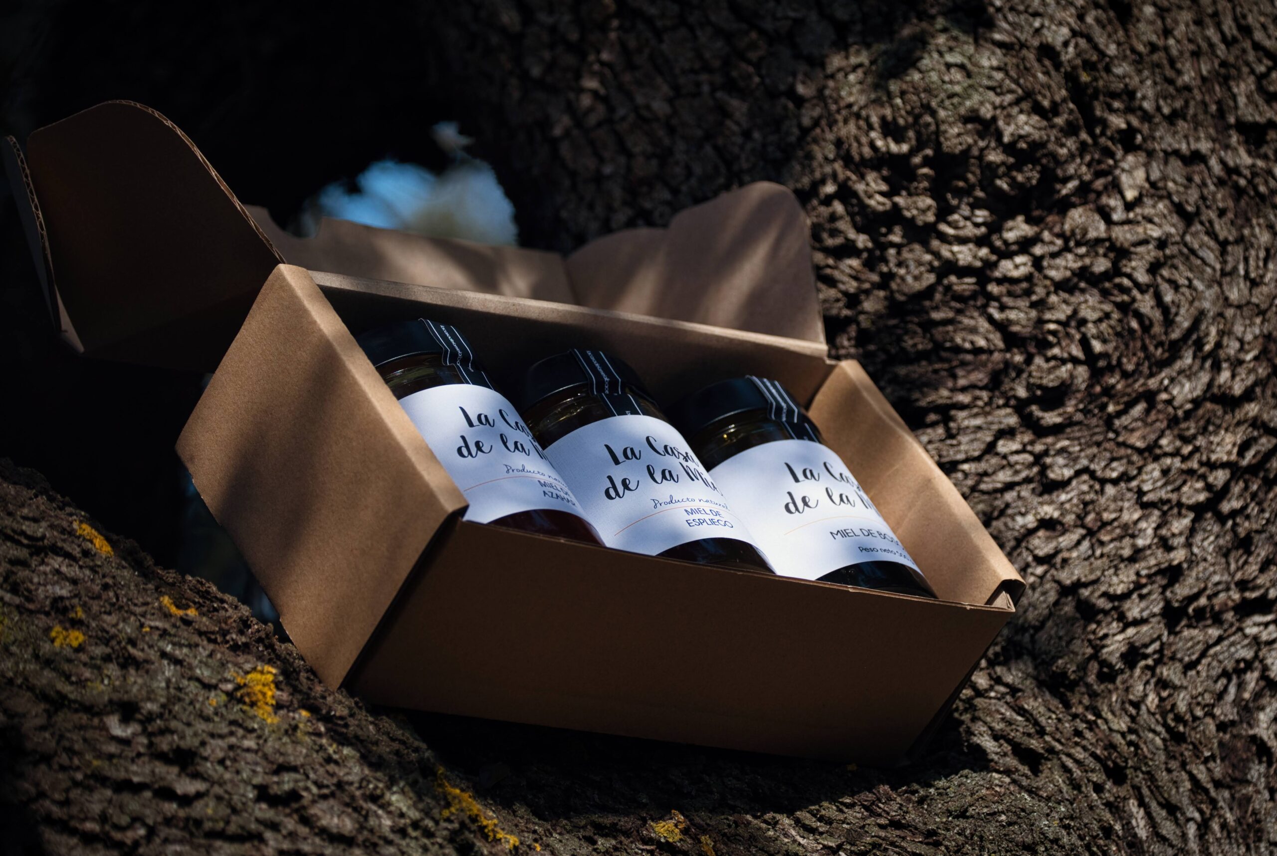 Pack de 3 mieles sobre una encina, es un lote variado con miel de azahar, espliego y bosque